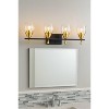Luminance Kelston Black & Gold Bathroom Vanity Metal Wall Sconce with Clear Seeded Glass Shades - 4 of 4