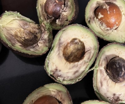 Guest review image 2 of 2, zoom in