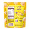 Fruit Riot Frozen Sour Candy Mango - 8oz - 2 of 4
