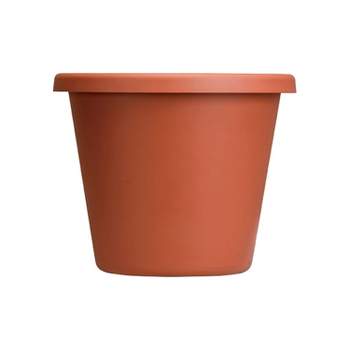 The HC Companies Classic 12 Inch Indoor and Outdoor Plastic Flower Pot Container Garden Planter w/ 14 Inch Molded Rim and Drain Holes, Terra Cotta