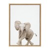18" x 24" Sylvie Baby Elephant Walk Framed Canvas by Amy Peterson Art Studio - Kate & Laurel All Things Decor - 2 of 4