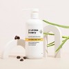 Eczema Honey Soothing Body Wash - 13oz - 3 of 4