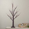 Northlight 24" Lighted Brown Twig Artificial Christmas Tree - Warm White LED Lights - 2 of 4