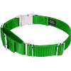 Country Brook Petz Heavyduty Nylon Martingale with Premium Buckle - 3 of 4