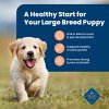 Blue Buffalo Life Protection Formula Natural Puppy Large Breed Dry Dog Food with Chicken and Brown Rice - 4 of 4