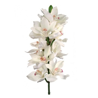 Floral Home 38" White Cymbidium - 6-Piece