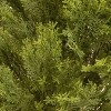 1.25' Artificial Globe Cedar Tree - National Tree Company - 3 of 3