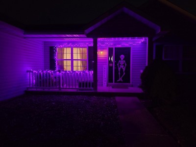 Guest review image 1 of 1, zoom in