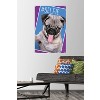 Trends International Keith Kimberlin - Kittens - Pug - Selfie Unframed Wall Poster Prints - 2 of 4
