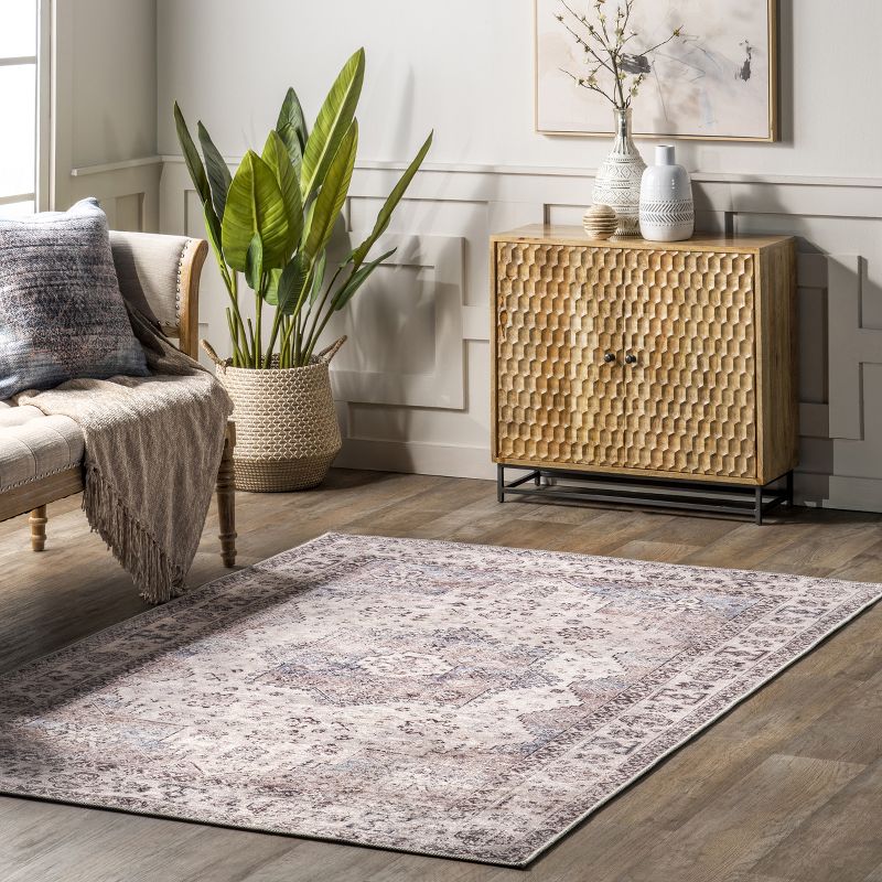 Sharyn Traditional Vintage Cotton Area Rug, 3 of 11