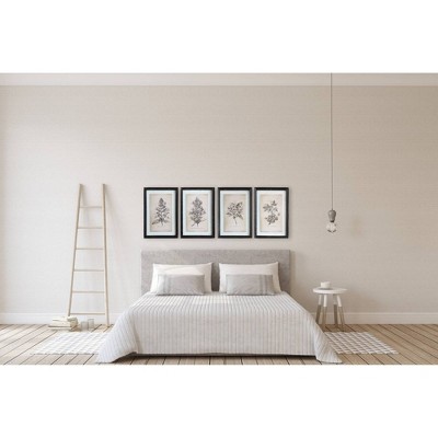 Set of 4 Black Wood Framed Botanical Wall Art Prints