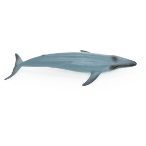 Collectible Wildlife Gifts | Blue Whale, Marine Mammal, Realistic Rubber Reproduction, Hand Painted Figurines    7"     CH156 B249 - 1 of 4