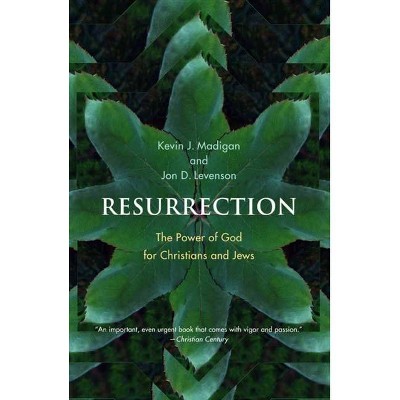 Resurrection - by  Kevin J Madigan & Jon Douglas Levenson (Paperback)