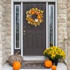Northlight Velvet Pumpkins and Wheat Fall Harvest Artificial Wreath - 24" - 3 of 4