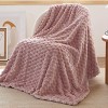 Bedsure Blanket for Bed - Super Soft, Cozy Blankets for Women, Cute Fleece - 2 of 4