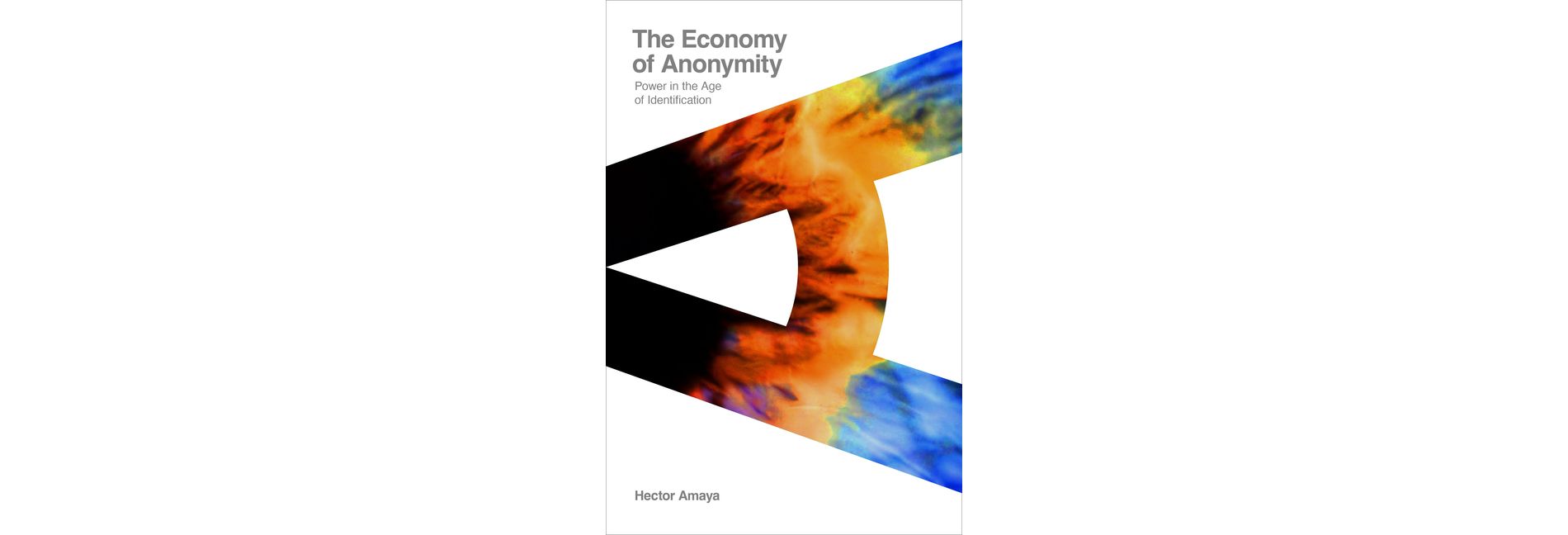 The Economy of Anonymity - by  Hector Amaya (Paperback)