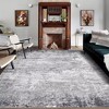 Modern Abstract Rug Washable Rug Low Pile Non-Slip Rugs for Living Room Bedroom - 2 of 4