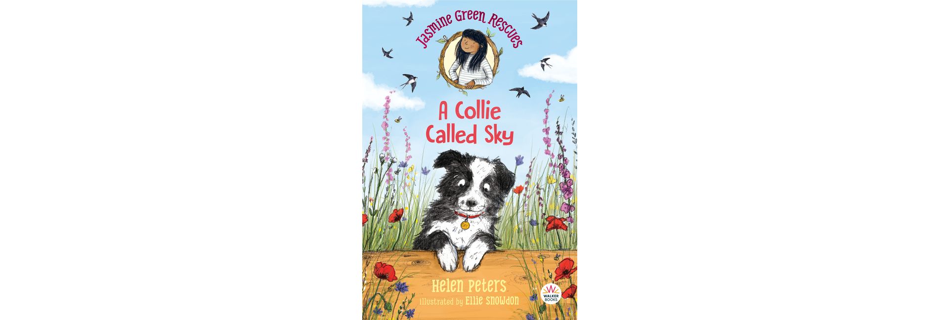 Jasmine Green Rescues: A Collie Called Sky - by  Helen Peters (Paperback)