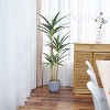 Aoibox Artificial Faux Agave Plant with 3 Heads in Plastic Pot, Realistic Fake Tree for Home Decor, Indoor or Outdoor Office Decoration - 4 of 4
