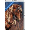 Trends International Laurie Prindle - War Pony Unframed Wall Poster Prints - 3 of 4