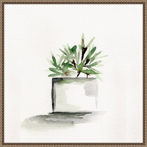 Amanti Art Potted Botanicals IV by Marcy Chapman Framed Wall Art Print - 1 of 4