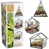 D'Eco Glass Geometric Plant Terrarium 3Pk - Hanging Brass Triangle, House & Prism Planters - Home, Office Decor- Gift for Plant Lovers & Mother's Day - 2 of 4