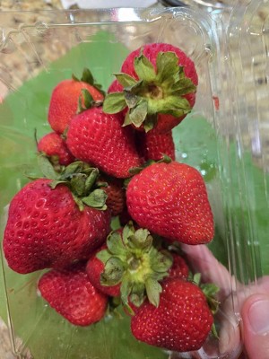 Guest review image 5 of 5, zoom in