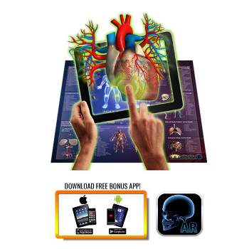 Flipo Interactive Laminated Human Anatomy Smart Chart STEM Toy for Girls & Boys - App Compatible