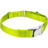 Country Brook Petz Heavyduty Nylon Martingale with Premium Buckle - 4 of 4