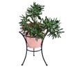 14" Iron Multi-Use Stand for Planter, Birdbath, Gazing Ball Black - ACHLA Designs - 2 of 3