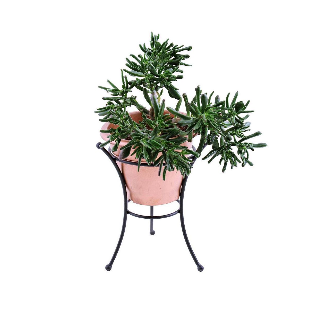 14" Iron Multi-Use Stand for Planter, Birdbath, Gazing Ball Black - ACHLA Designs - thumbnail 2