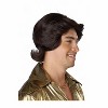 California Costumes 70's Feathered & Flashy Adult Wig - 4 of 4