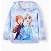 Disney Princess Toddler Sweatshirts Frozen Elsa and Anna Hoodie Graphic Pullover Tops - 2 of 4