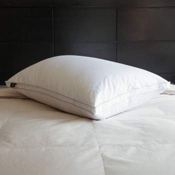 650 Fill Power Goose Down Bed Pillow - Nikki Chu