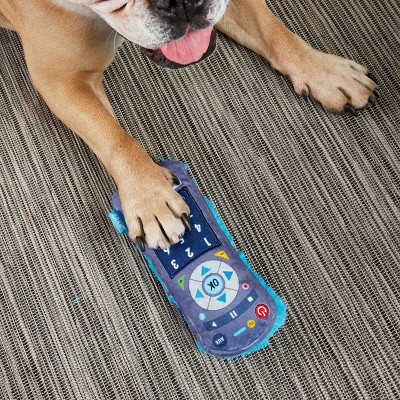 remote dog toy