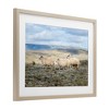 Stupell Industries Three Friends Sheep in Nature Framed Print Under Glass - 2 of 4