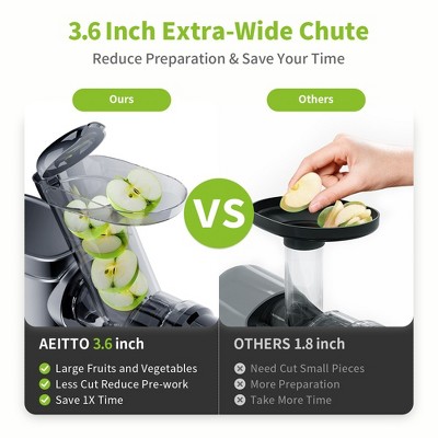 Silver Electric Masticating Juicer with Variable Speed and Reverse Function