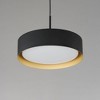 ET2 Lighting Echo 1 - Light Pendant in  Black/Gold - 2 of 4