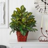 Nearly Natural Mixed Greens with Wicker Silk Plant - 3 of 3