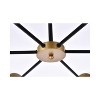 Elegant Lighting Briggs 36 inch pendant in black and brass with clear shade - 4 of 4