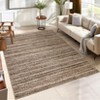 COZONY Washable Runner Rug, Non-Slip Low Pile Braided Design, Hallway Carpet for Kitchen, Bathroom, Entryway, Laundry Room - 2 of 4
