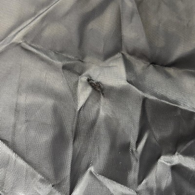 Guest review image 1 of 3, zoom in