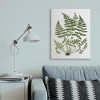 Stupell Industries Forest Botanicals Charming White Willow Greenery - 2 of 4