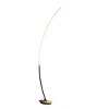 62.25-Inch Bradie Brushed Nickel LED Arc Tube Floor Lamp - 2 of 4