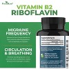 Forest Leaf Riboflavin Vitamin B2 Dietary Supplement, Easy to Swallow 400mg per Capsule, Quick Absorption - 120 Caps - 4 of 4