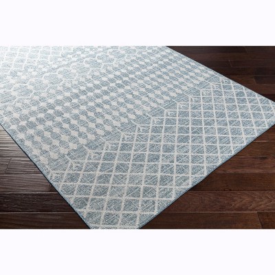 Hauteloom Blue Ivory Summit Indoor & Outdoor Area Rug