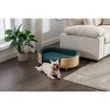 Gulches Scandinavian Style Medium-sized Dog Pet Sofa with Solid Wood Legs, Curved Wooden Back, Velvet Cushion in Dark Green - 2 of 4