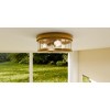 Theodora 3-Light Weathered Brass Flush Mount - 3 of 4
