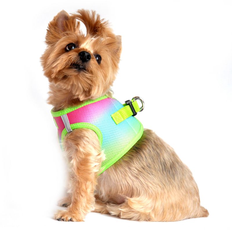 Doggie Design American River Choke Free Dog Harness Ombre Collection-Rainbow, 3 of 5