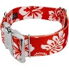 Country Brook Petz 1 1/2 Inch Premium Dog Collar - Summer Breeze Collection - 3 of 4